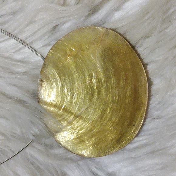 Jewelry - 🌻 10 /$10 Stunning yellow shell necklace